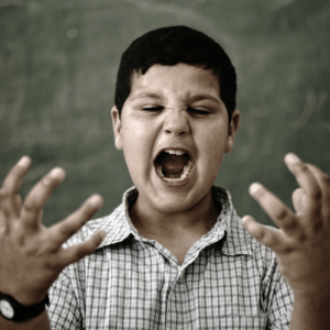 mhsds-aggression mhsds-aggression